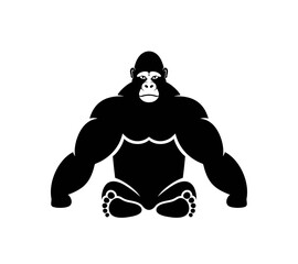 Gorilla head logo. Isolated gorilla head on white background
