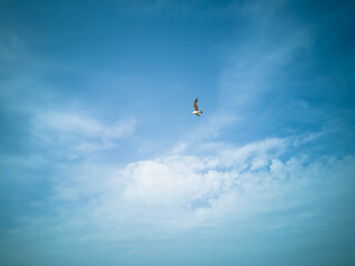 sea