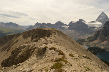 Fototapeta premium Hiking, climbing and camping on the Mount Assiniboine mountain in the Rockies between Alberta and British Columbia in Canada