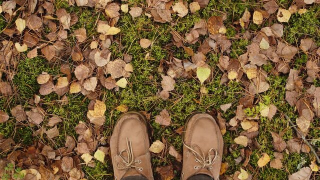 Top view 4k video of two male feet isolated on grassy land of beautiful autumn forest.
