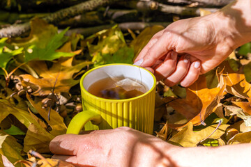 Woman holding a cup of tea on a background of autumn leaves.