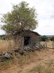 Abri pastoral dans l'Aveyron