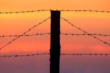The rising sun and the crimson sky are crossed by several strands of barbed wire. It looks unusual...