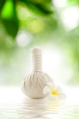 Fototapeta na wymiar close up view of Herbal massage Compress on green back. 