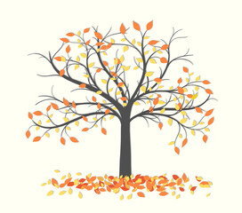Naklejka na ściany i meble Autumn trees with fallen leaves