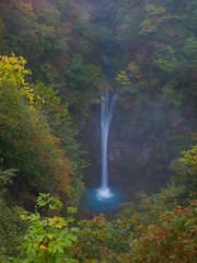 Waterfall in the autumnal forest (Tochigi, Japan)
