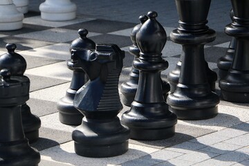 black and white chess stones standing on the chess field in the park
