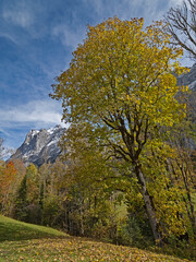 Fototapeta premium Alpine autumn landscape in Switzerland