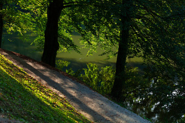Fototapeta premium Footpath by the lake, sunlight coming through trees in golden hour