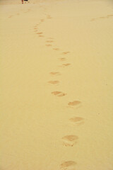 footprints on the sand