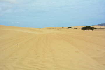 sand dunes in the desert