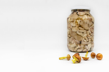 Pickled butter mushrooms in a jar. The jar with mushrooms inside with copy space