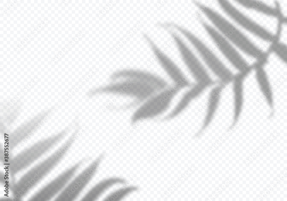 Poster Vector Transparent Shadows of Leaves. Decorative Design Elements for Collages. Creative Overlay Effect for Mockups