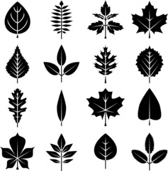 autumn and summer tree leaves icons set black