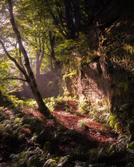 Dufton Ghyll, Eden Valley