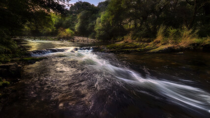 Obraz premium The last rays on sunshine hitting the trees and water flowing down the River Dart