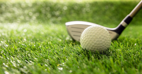 Golf stick and ball on green grass golf course, close up view.