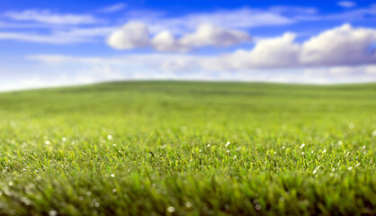Green grass field, small hills and blue cloudy sky background.