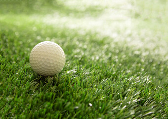 Golfball on green grass golf course, close up view.