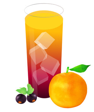 27 件の最適な カシスオレンジ 画像 ストック写真 ベクター Adobe Stock