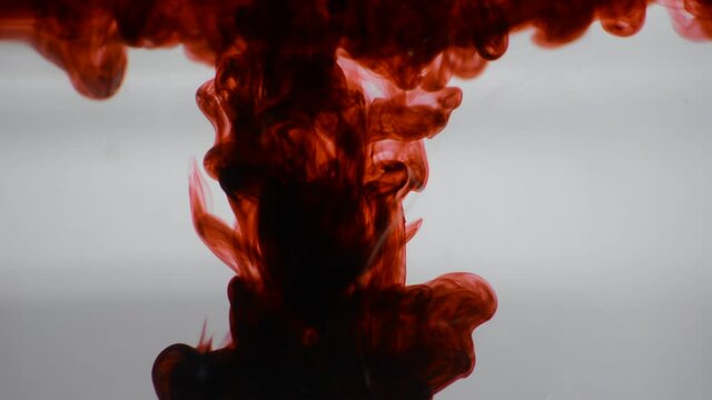 One ink flow, infusion red dye cloud or smoke, ink inject on white in slow motion. Blue tint splatter in water. Inky background or smoke background.
