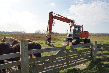 Excavator with ponies in a Dutch polder (Damlanderpolder) behind a fence near the village of...