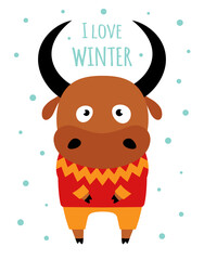 winter card with ox on white background