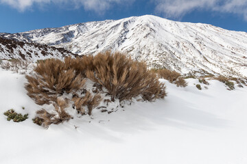 Dia con nieve y frio