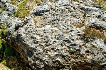 Farrowing stones (Pedras Parideiras) at the Geopark of Arouca, Portugal