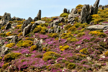 Trekking at the Geopark of Arouca, Portugal