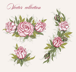 a modern bouquet, a set of roses. hand-drawn illustration of flowers. isolated decorative elements. vector composition for invitations, postcards, design, holiday. vintage style.