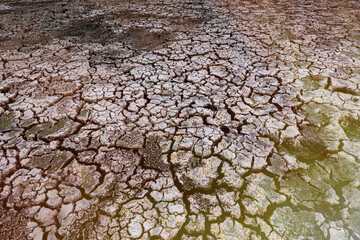 Brown dry soil