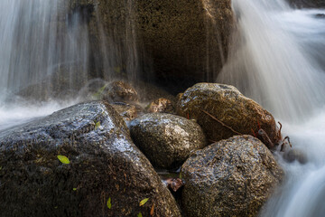 Rocas y musgo en el rio Iruelas. Avila. Espa&ntilde;a. Europa.