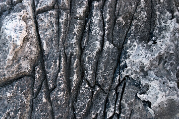texture of the rock coast of polignano
