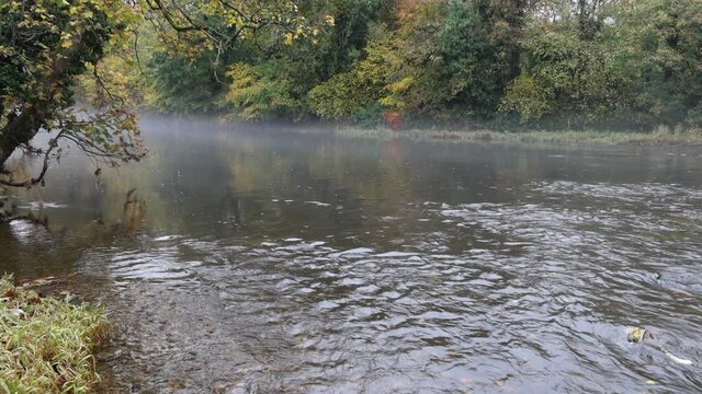 Warm golden colours in autumn on the bank of the river ribble in Clitheroe. Colourful autumn leaves and gentle flowing water with some mist