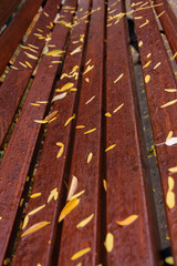 Wooden bench in the foliage, after the autumn rain.Drops of water fall on the boards.