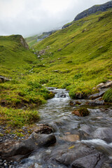 Fototapeta na wymiar Small stream near Bachalpsee in Switzerland. 