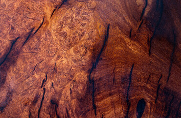 Nature Afzelia burl wood striped are wooden beautiful pattern for crafts or art background