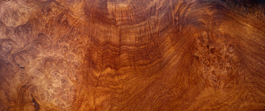 Nature Afzelia burl wood striped are wooden beautiful pattern for crafts or background