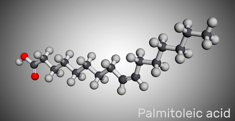 Palmitoleic acid, palmitoleate molecule. It is an omega-7 monounsaturated fatty acid. Molecular model