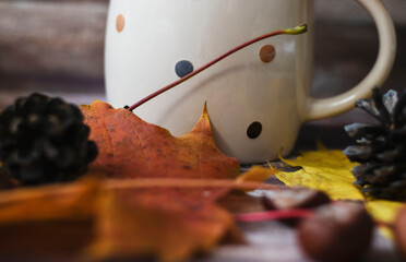 Autumn decoration with leaves, cones, cups, sweaters