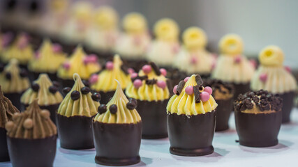 Delicious Sweet Cupcakes 