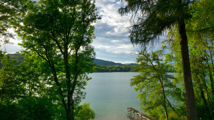 View on a lake with big trees and pontoon