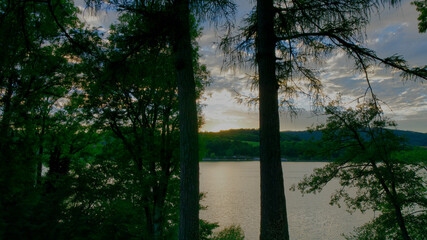 Big trees on a lake and clouds