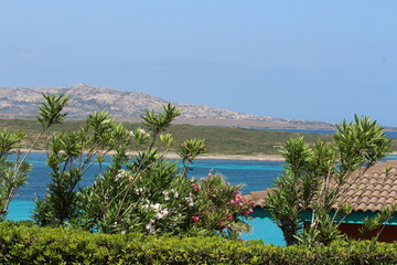Giardino con vista sull'isola dell'Asinara
