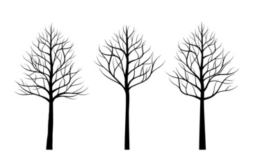 Fototapeta premium A set of black naked Trees. Vector outline Illustration. Plant and Garden.
