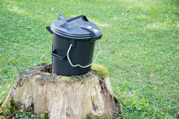 Mülltonne eingewachsen in Baumstumpf