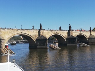 Fototapeta premium bridge over the river