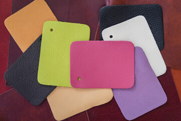 Set of various samples of leather of different colors, choice for manufacturing of furniture and...
