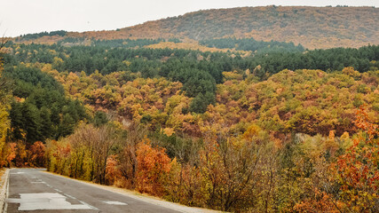 Obraz premium Autumn landscape of trees in the national city park.